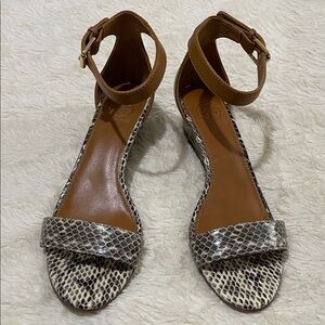 Tory Burch Snakeskin and Brown Ankle Strap Sandals